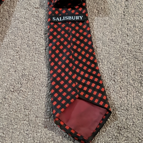 ⚡2/$15 SALISBURY tie - Picture 2 of 3